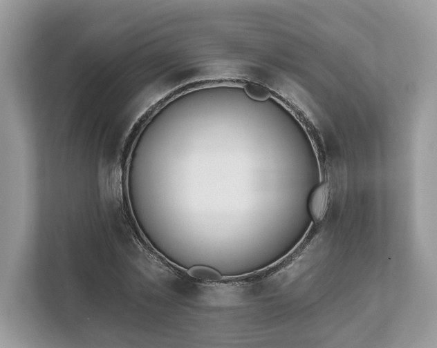 X0000111870781200907301115