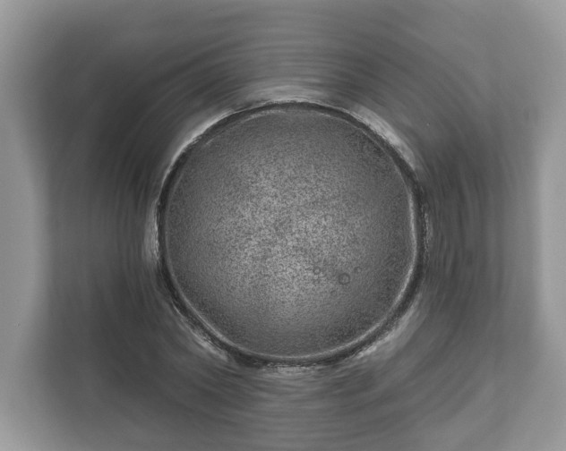 X0000111870782200907301115