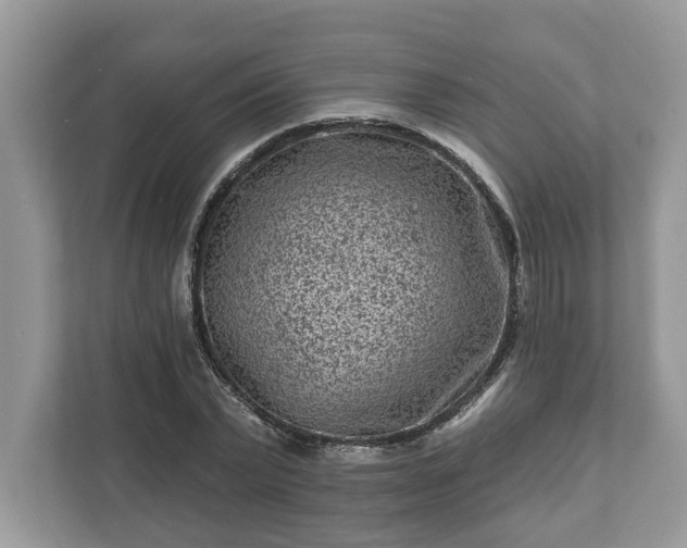 X0000111870783200907301115