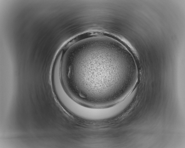 X0000111870791200907301115