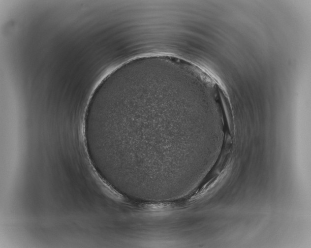 X0000111870797200907301115