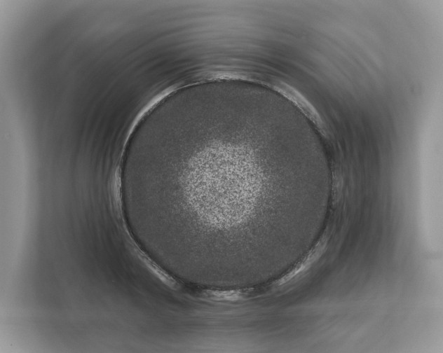 X0000111870798200907301115