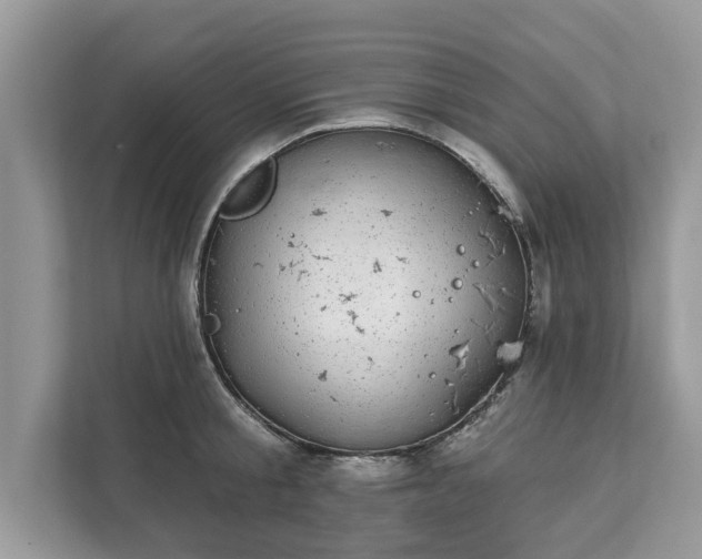 X0000111870805200907301115