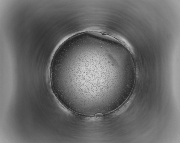 X0000111870808200907301115