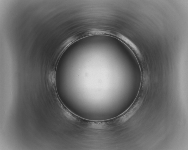 X0000111870809200907301115