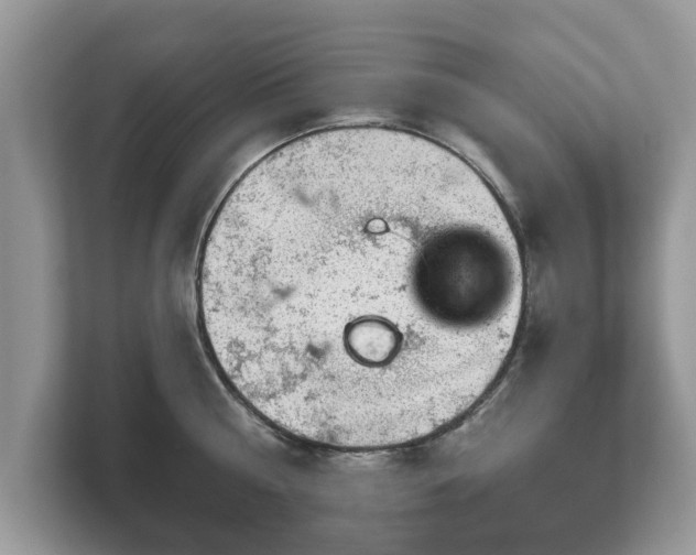 X0000111870810200907301115