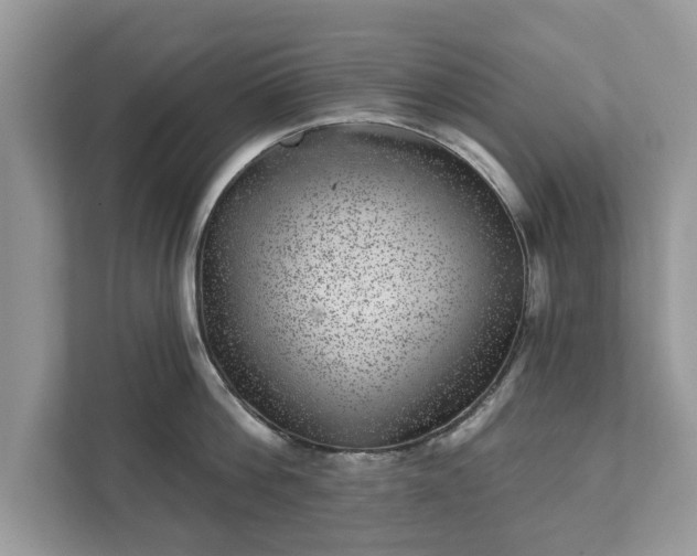 X0000111870812200907301115