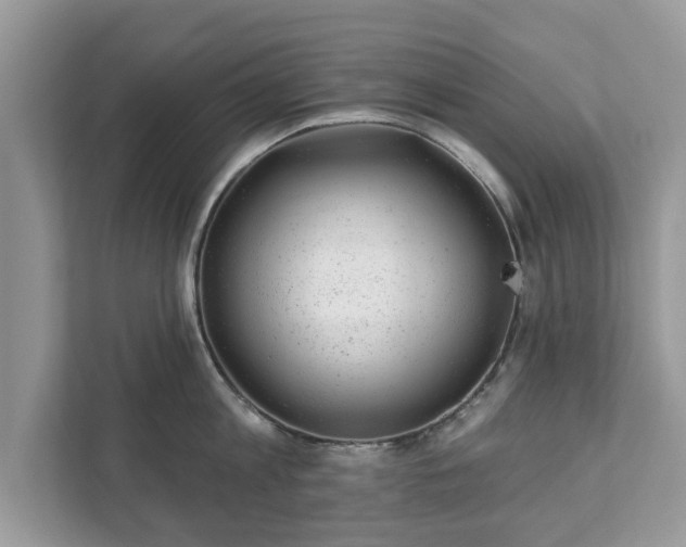 X0000111870813200907301115