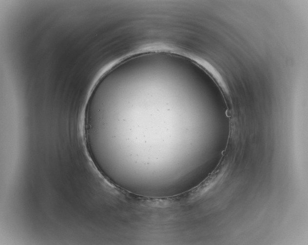 X0000111870815200907301115