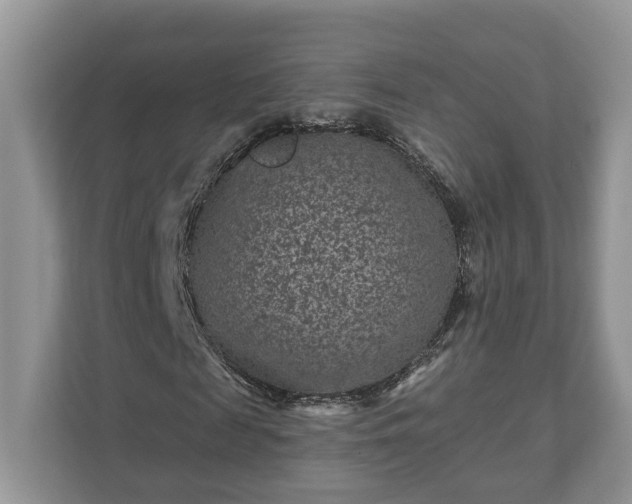 X0000111870817200907301114