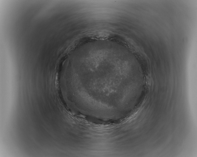 X0000111870818200907301114