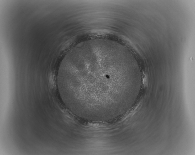 X0000111870819200907301114