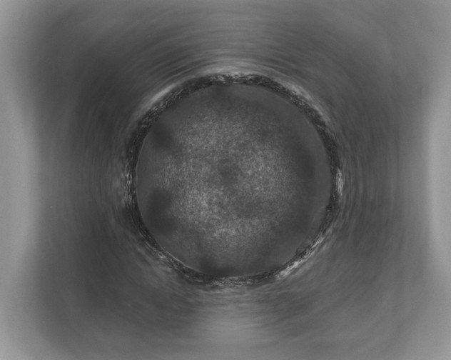 X0000111870822200907301114