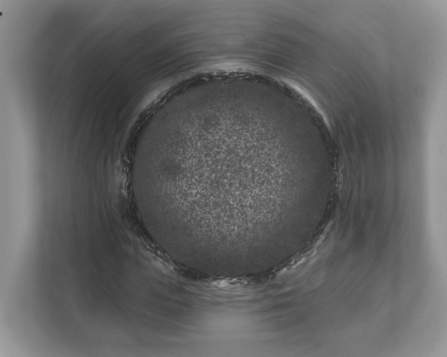 X0000111870823200907301114