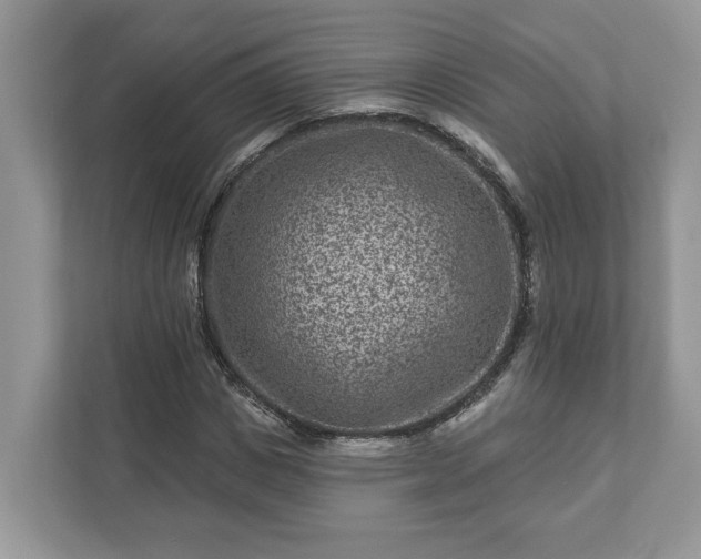 X0000111870825200907301114