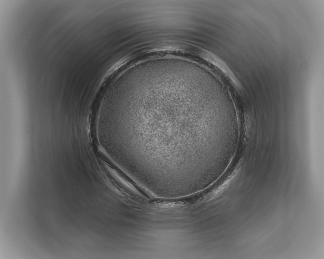 X0000111870826200907301114