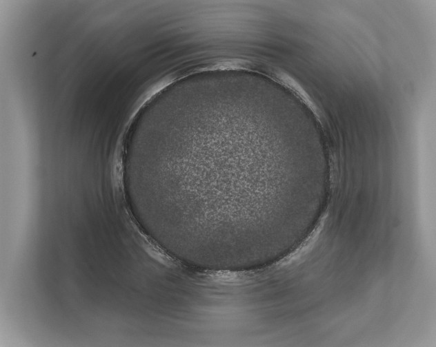 X0000111870827200907301114