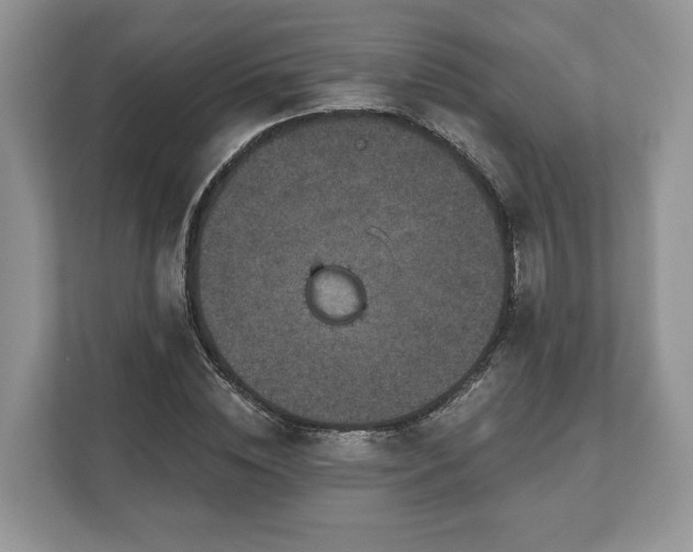 X0000111870828200907301114