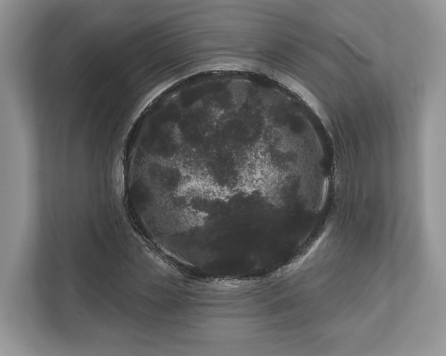 X0000111870829200907301114