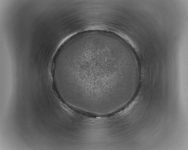 X0000111870830200907301114