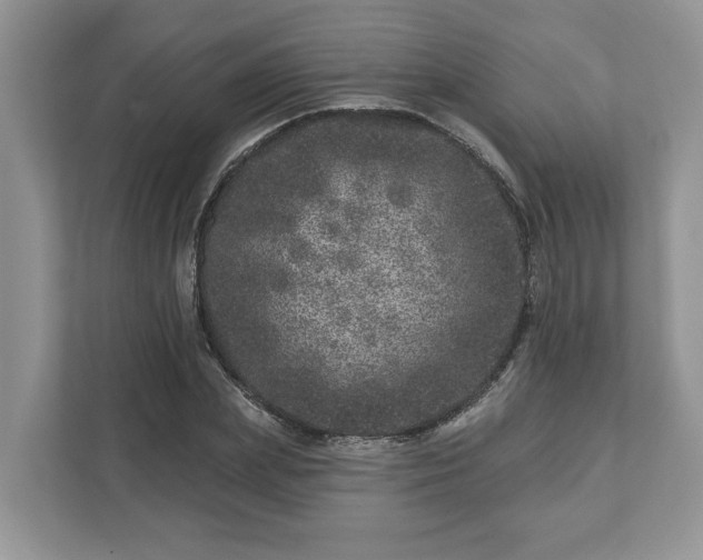 X0000111870831200907301114