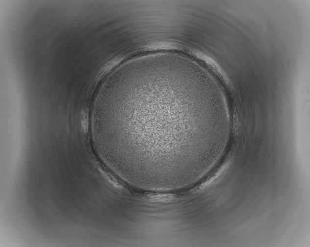 X0000111870833200907301114