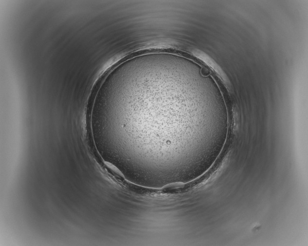 X0000111870834200907301114