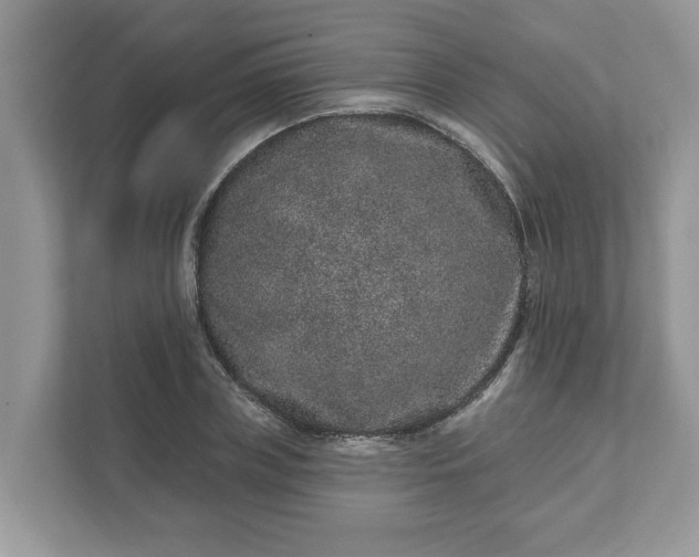 X0000111870835200907301114