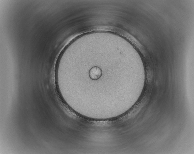 X0000111870836200907301114