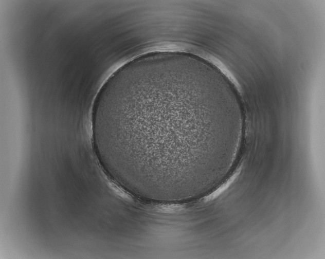 X0000111870837200907301115