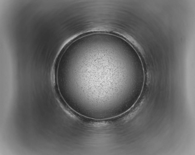 X0000111870838200907301115