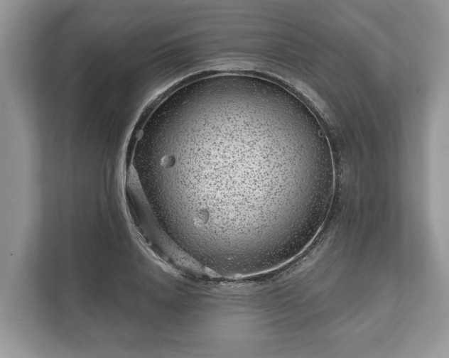 X0000111870840200907301115