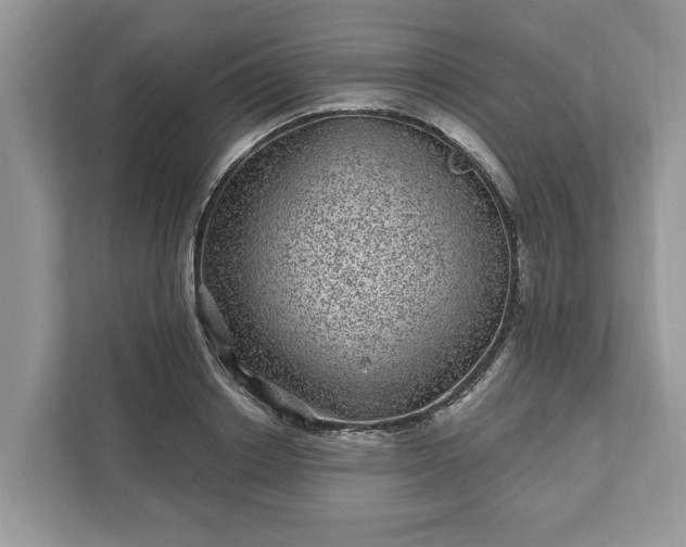 X0000111870842200907301115