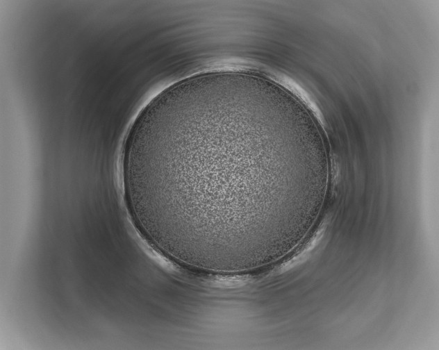 X0000111870843200907301115