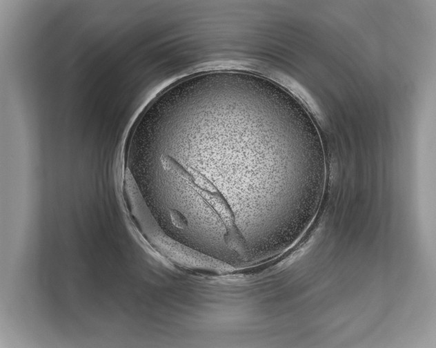 X0000111870844200907301115