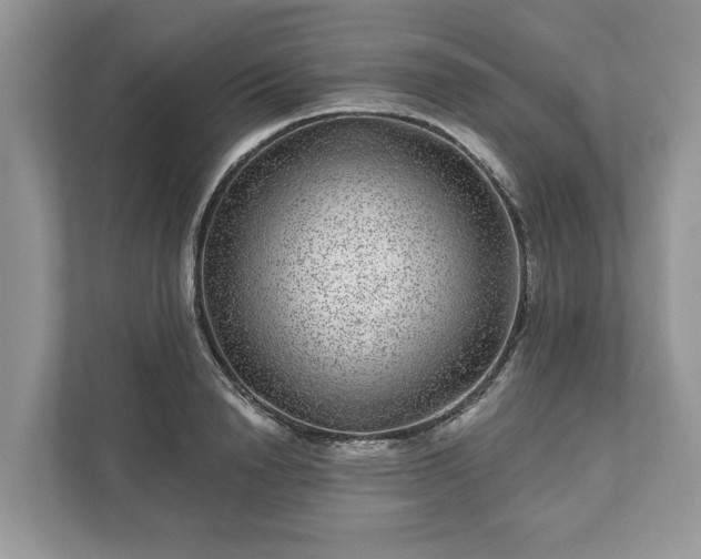 X0000111870846200907301115