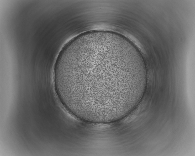 X0000111870848200907301115