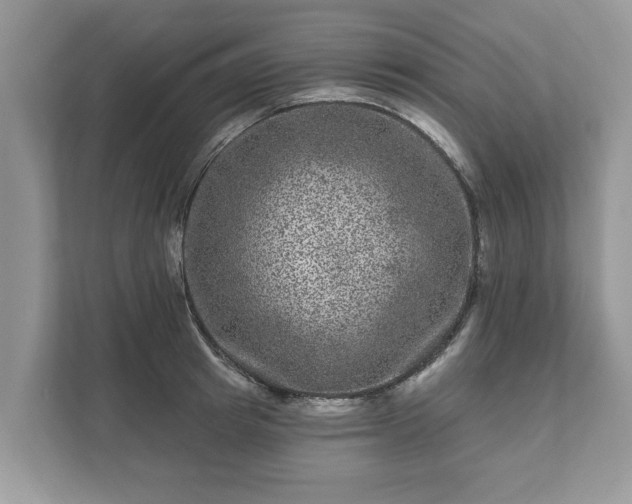 X0000111870849200907301115