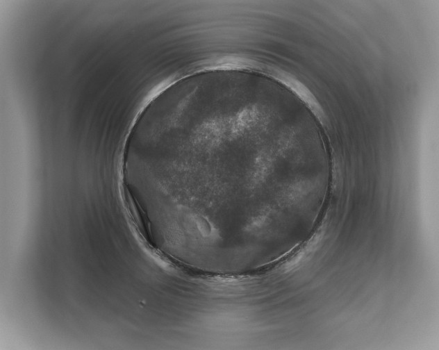 X0000111870850200907301115