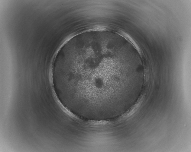 X0000111870851200907301115