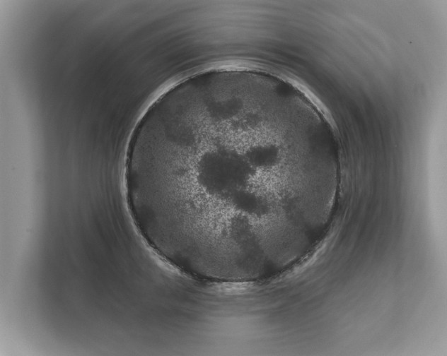 X0000111870853200907301115