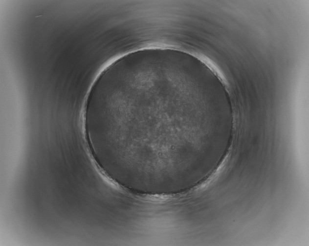 X0000111870854200907301115