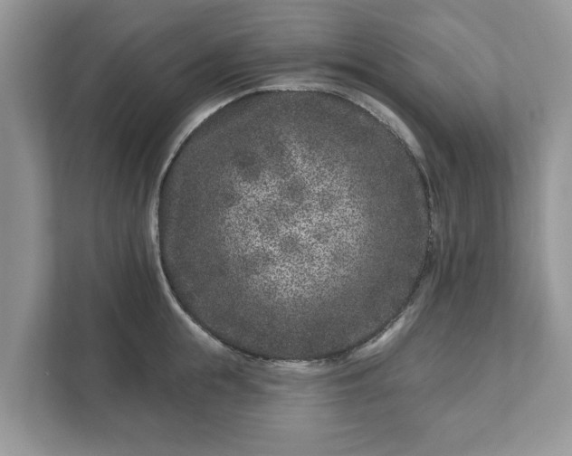 X0000111870855200907301115