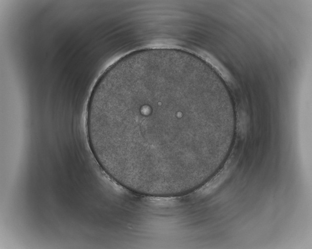 X0000111870856200907301115