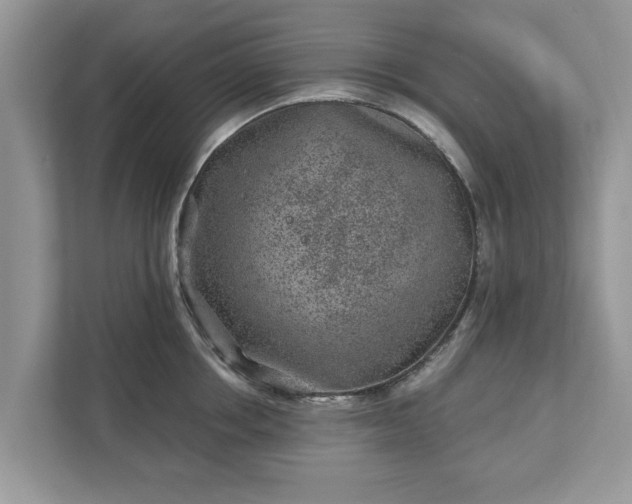 X0000111870858200907301115