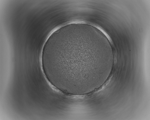 X0000111870861200907301115