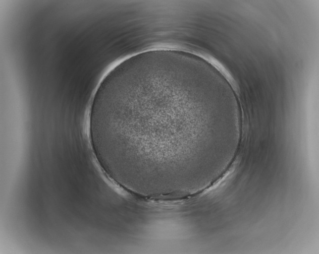 X0000111870862200907301115