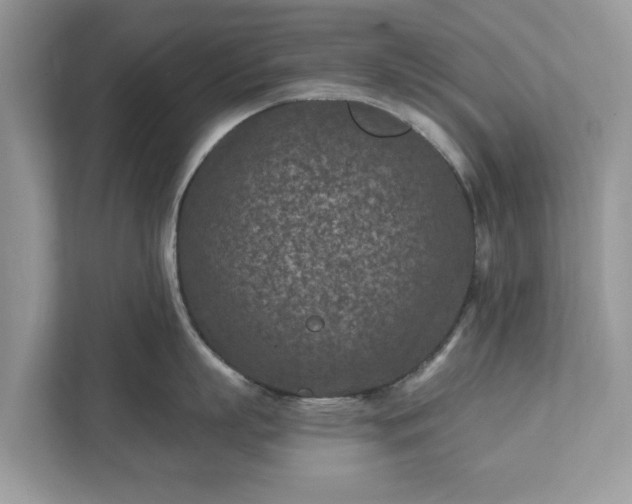 X0000111870863200907301115