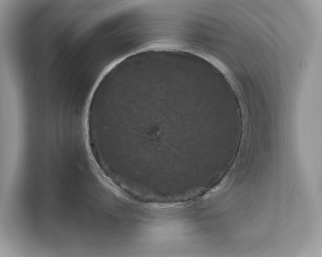 X0000111870864200907301115