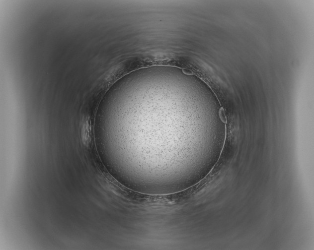 X0000111870866200907301114